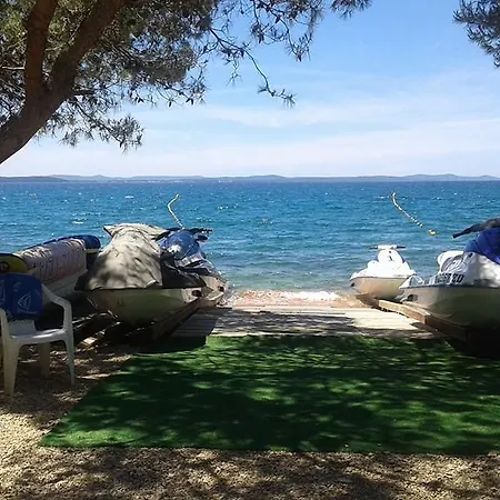 Delmare
